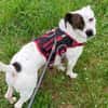 Klein♥Abbie♥Schmusemaus 63820 Elsenfeld