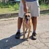 ‼ NOTFALL ‼ RUBY sucht 🆘in 91616