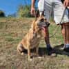 ‼ NOTFALL ‼ RUBY sucht 🆘in 91616