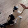 Resi sucht....