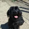 Liebenswerte Babi sucht Familie