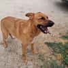 HOLLY aitante giovanotto
