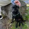 Tommy, Neuanfang gesucht