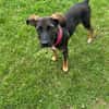 CANDY sucht ihre Lieblingsmenschen