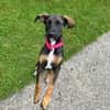 CANDY sucht ihre Lieblingsmenschen