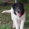 Oskar will die Welt entdecken