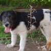 Oskar will die Welt entdecken