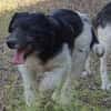 Oskar will die Welt entdecken