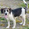 Bruno will die Welt entdecken