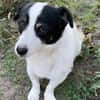 Flo sucht besondere Menschen