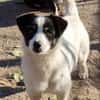 Flo sucht besondere Menschen