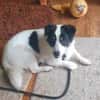 Flo sucht besondere Menschen