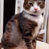 Lucky - hier ist der Name Programm