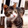 Lucky - hier ist der Name Programm