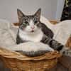 Lucky - hier ist der Name Programm