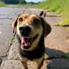 Freundlicher Hundemann Friedrich!!!