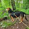 Freundlicher Hundemann Friedrich!!!