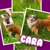 Kleine Cara wartet in Hausen!