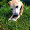 Masha❤sucht Pflege- oder Endstelle