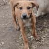 Barnus sucht seine Familie