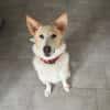 Bella❤sucht Für-Immer-Zuhause