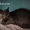 Saturne