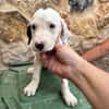 HERO (Martina)