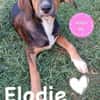 💕Elodie💕 sucht ihr großes Glück