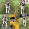 hübsche kleine Roxie sucht ihre Familie