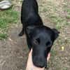 🐾🍀 Der süße Lukas sucht seine Menschen
