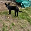 🐾🍀 Der süße Lukas sucht seine Menschen