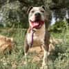KRYPTO (Maria)