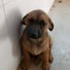 BALU (Maria)