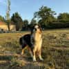 Osko