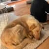 ‼CREAM in 41236 Mönchengladbach 🆘