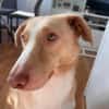 ‼CREAM in 41236 Mönchengladbach 🆘