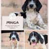 Minga: Deine neue beste Freundin