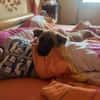 Amor - Herzenshund