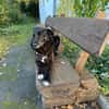 NINA hat nichts falsch gemacht
