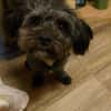 Frieda sucht liebevolles zu Hause