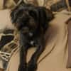 Frieda sucht liebevolles zu Hause