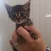 Juliet