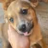 Minka sucht Dich!