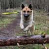 Leo10 sucht ein Zuhause