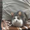 Terra sucht Dich