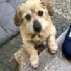 FRED - lieber kleiner Opi........