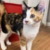 Louise (en cours d'adoption)