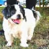 GANJI (en placement provisoire)