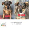 Nina e Lulù