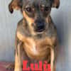 Nina e Lulù